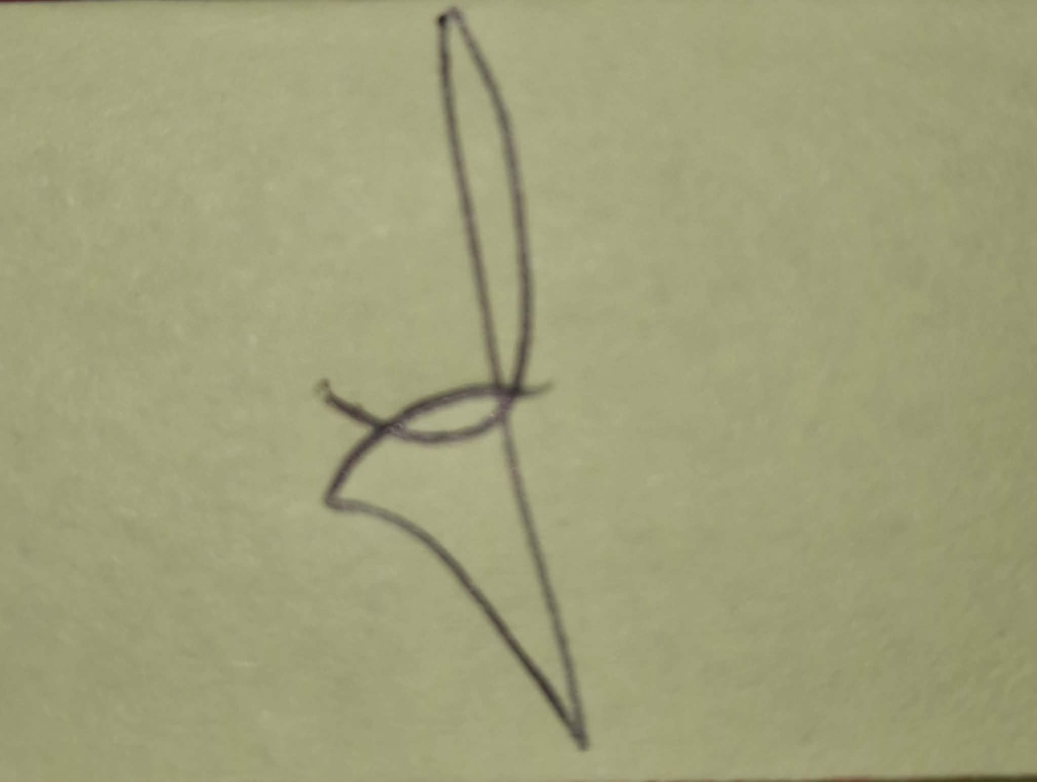 Signature of Austine